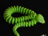 Flexi Snake-3
