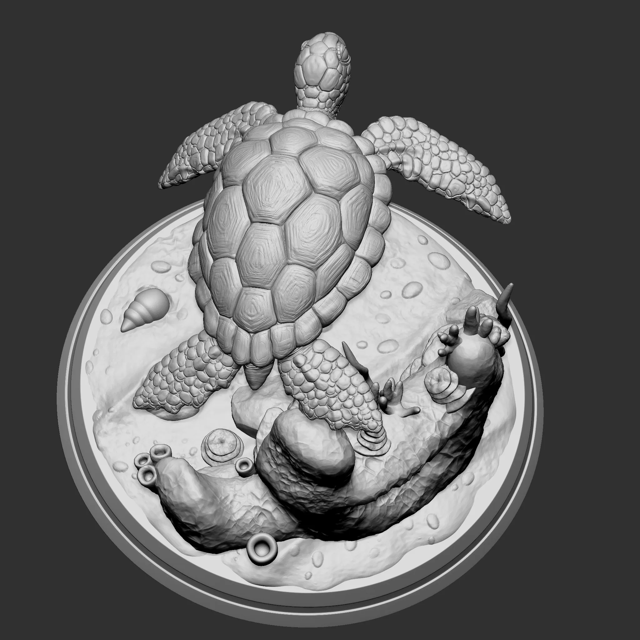 Green sea turtle 3D print model