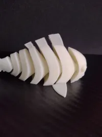 Articulated Goldfish Carp Koi-2