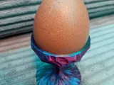 Egg cup-1