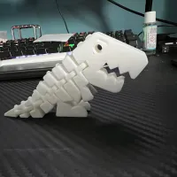 Flexi-Rex-improved-1