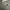 Hooks Audi A6C5