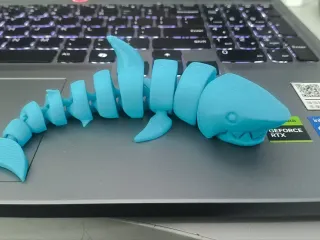 Shark