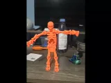 Flexy Skeleton-0