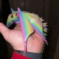 Silver Dragon-5