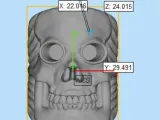 skull ring-8
