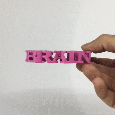 Text Flip - Brain
