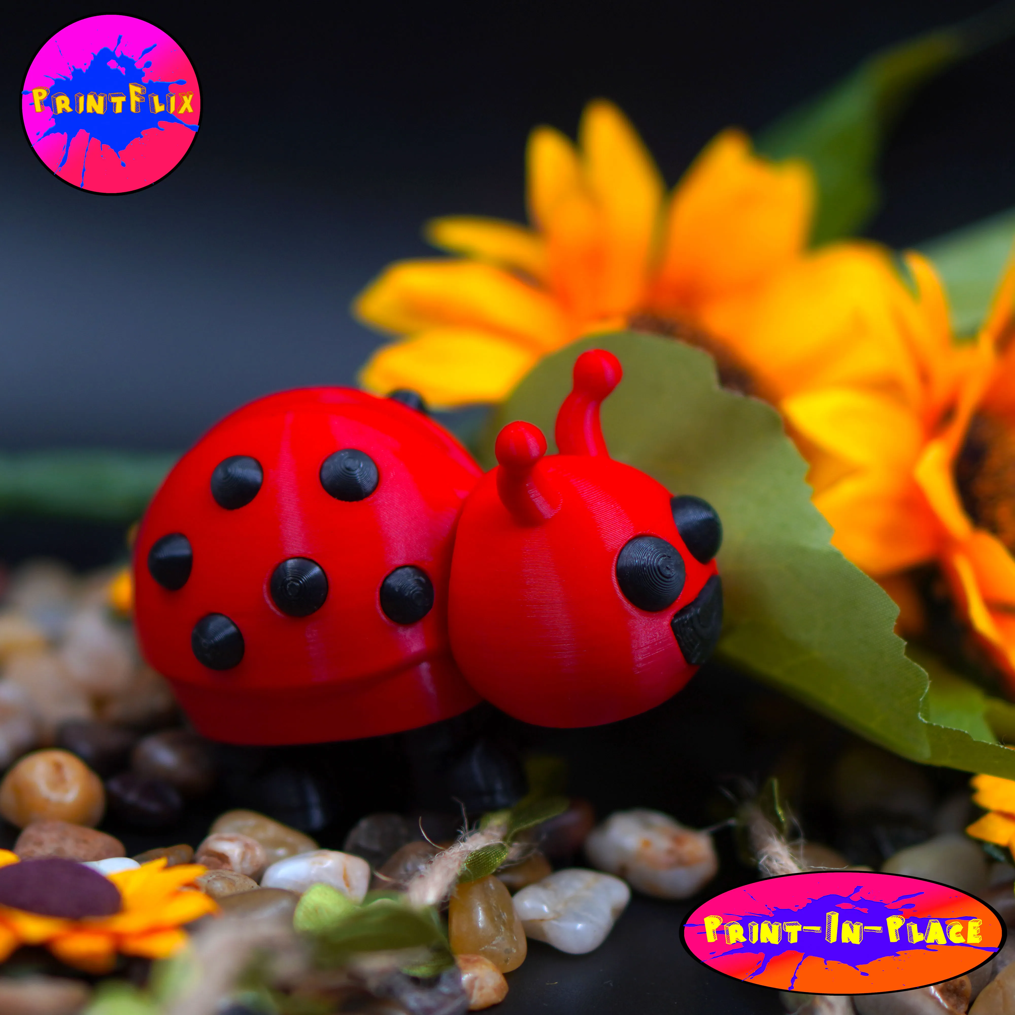 SIMPATICA COCCINELLA FLESSIBILE