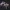 Buey de cuernos grandes Bestia
