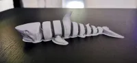 Articulated Shark-2