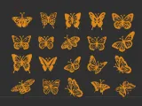 Butterfly Collection Pack-2