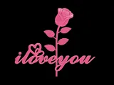 Rose I Love You Valentines Day-2