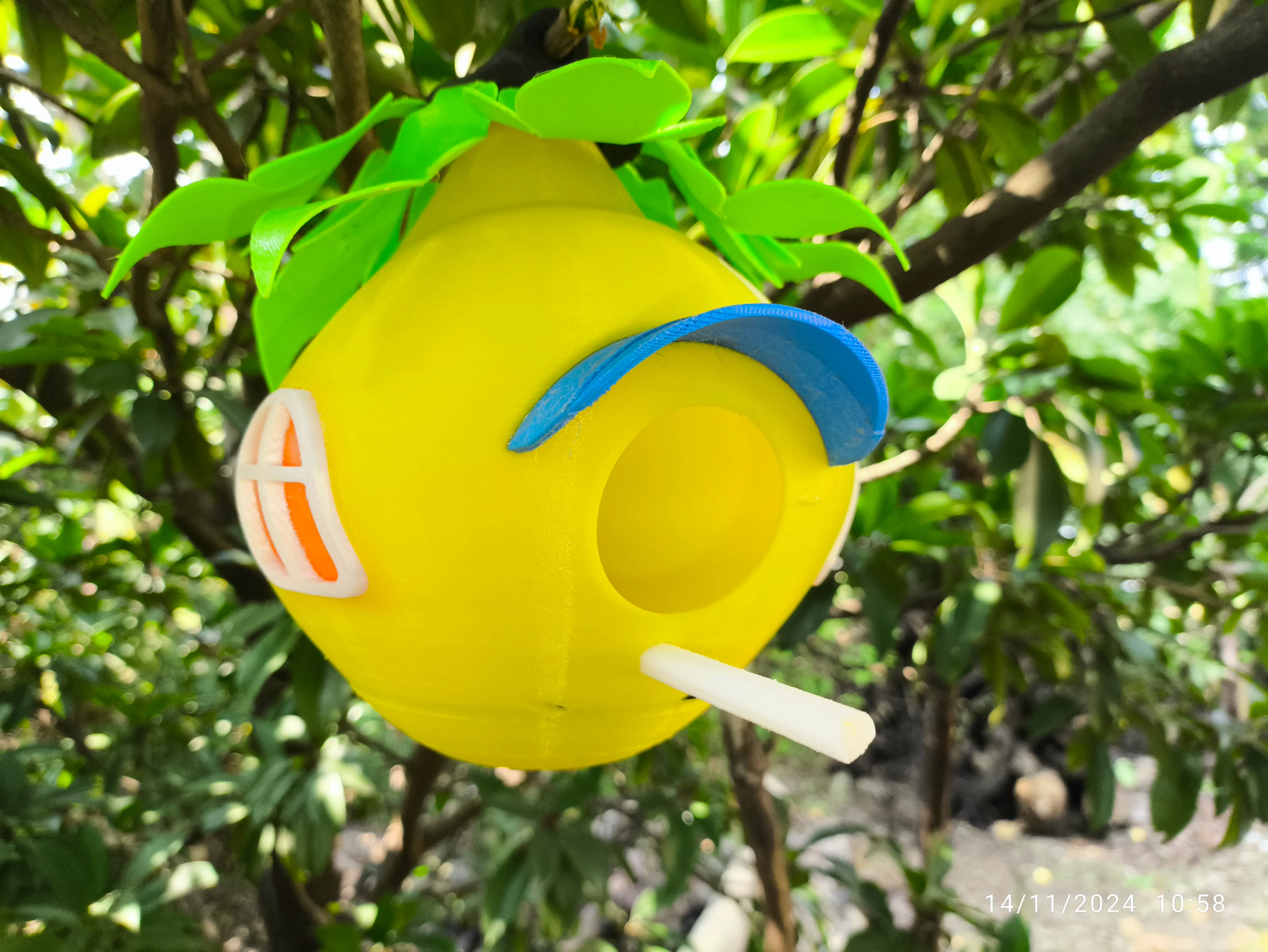 "Bird House-In Nature"