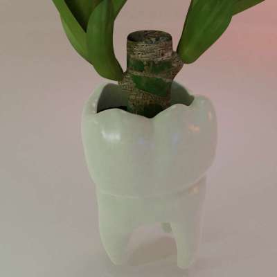 Teeth / Tooth Flower Pot