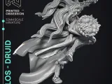Flos Druid-4