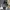 Nebula camera timelapse camera mount