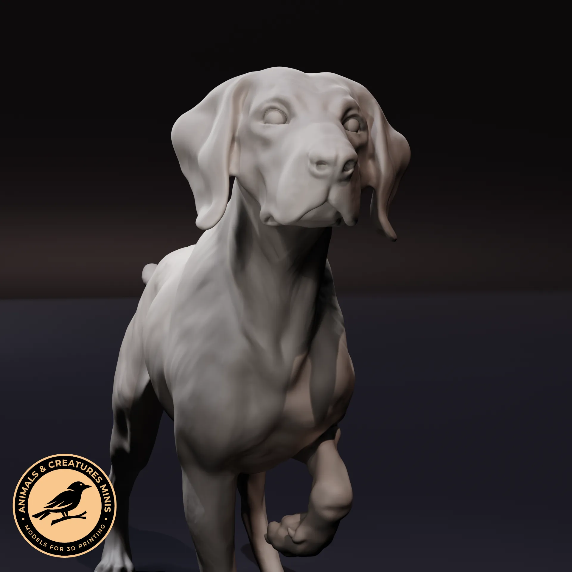 German Shorthaired Pointer