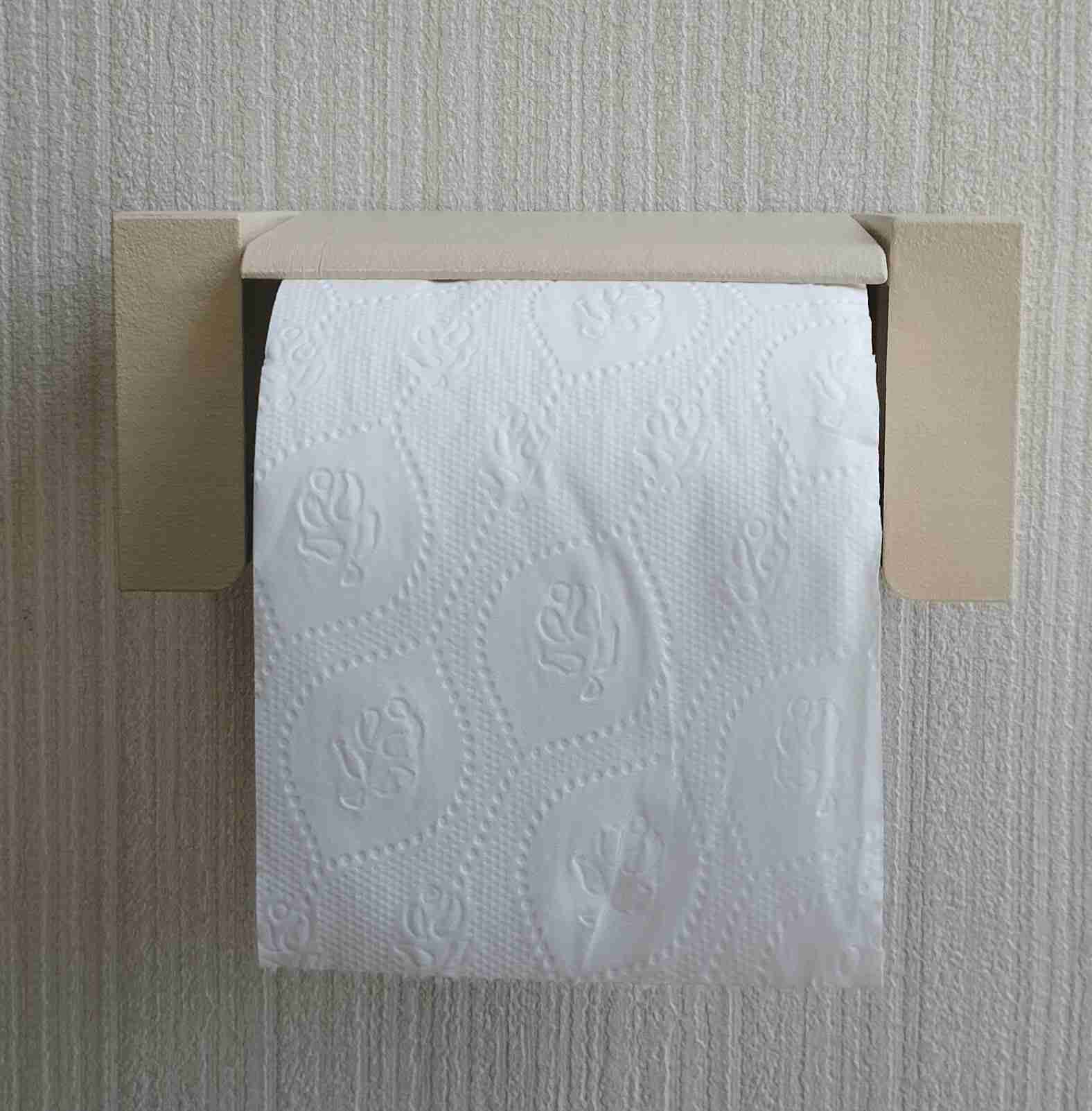 Yet Another Quick Change Toilet Paper Roll Holder Hood 3D models