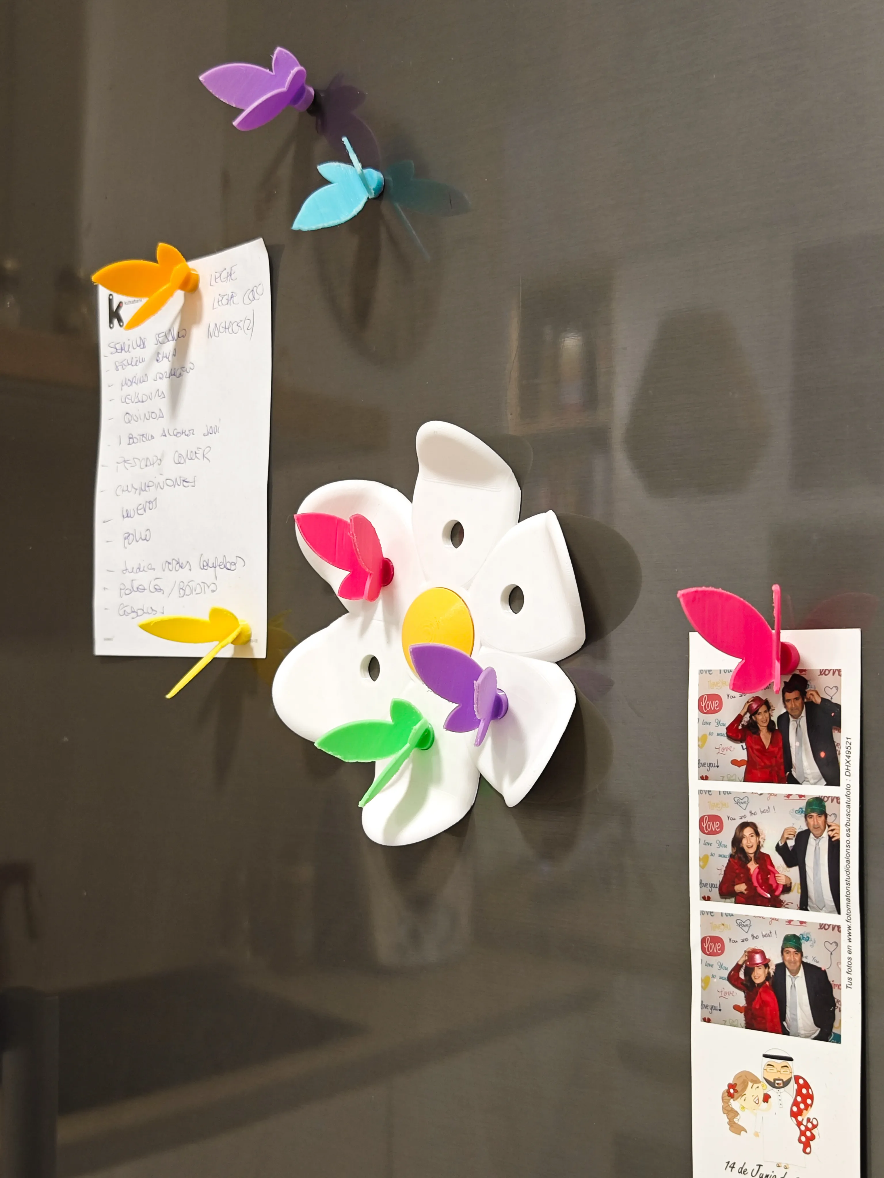 Butterfly magnets