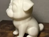 Pug-1
