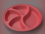 Partition Plate-6