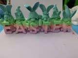 Easter Gnomes-0