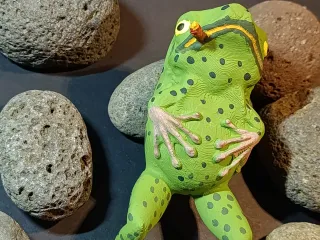 🐸 RANITA VICIOSA PEREZOSA