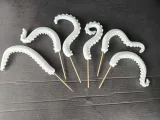 Oktopus arm-4