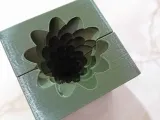 Mold Three with star-2