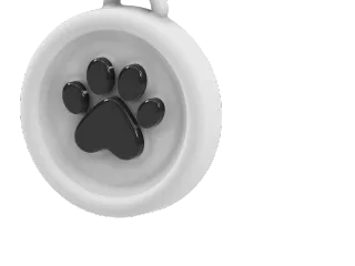 Cat collar