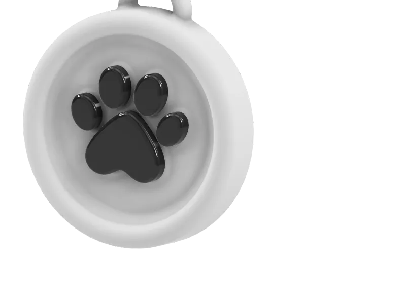 Kedi tasması