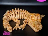 Flexi Skeleton Crocodile-4