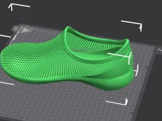 shoe for lcd sla sls