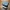 علبة لعدسة Moment Anamorphic 1.33x للهاتف المحمول