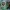 Ekko Stopwatch Arcane League Of Legends
