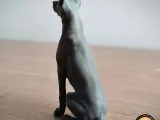 Doberman-4