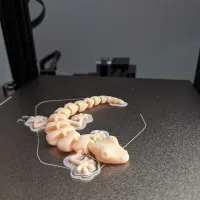 Articulated Lizard v2-1