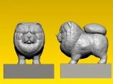 Chow chow furry Dog - terrier model - 3D print-2