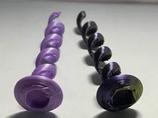 Jumping Spider Spiral