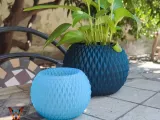 Flower Pot-4