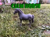Calm horse-0