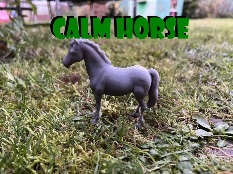 Rustig paard
