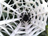 Cobweb Windmill-5