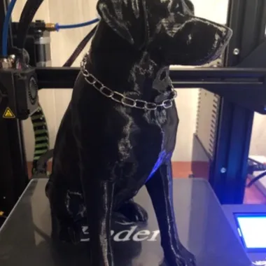 Staff  dog-0