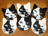 Cat Coasters-5