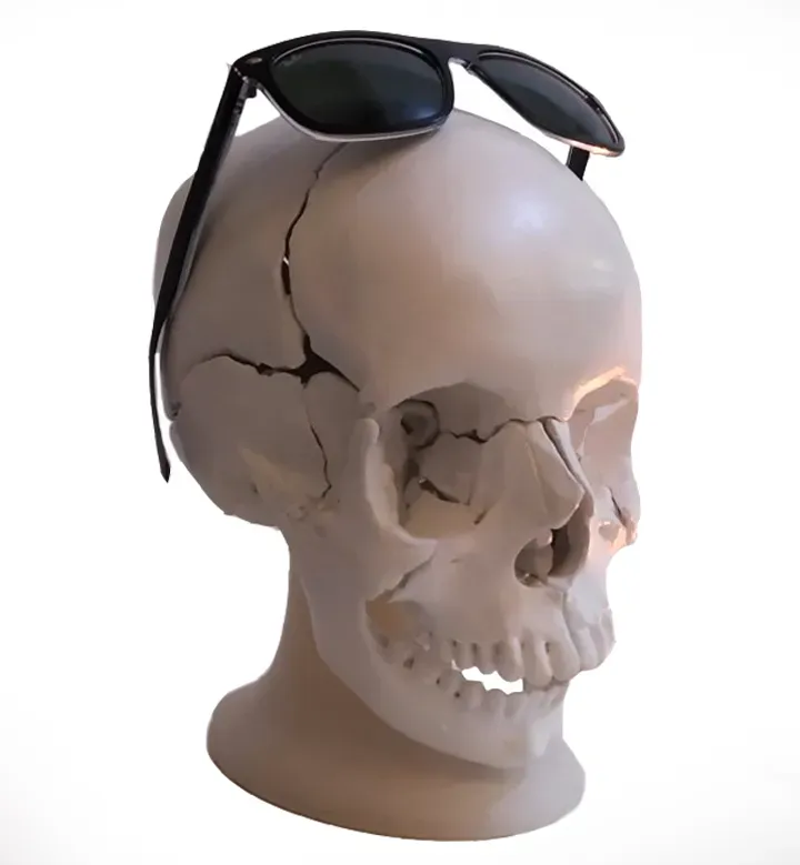 Real Human Skull for medicine - Craneo Humano
