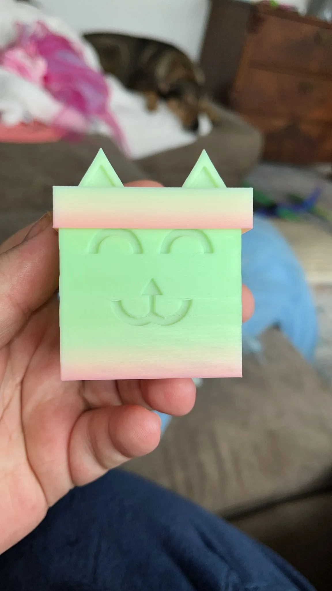 Kitty Mail Parcel inspired by Gabby's Dollhouse
