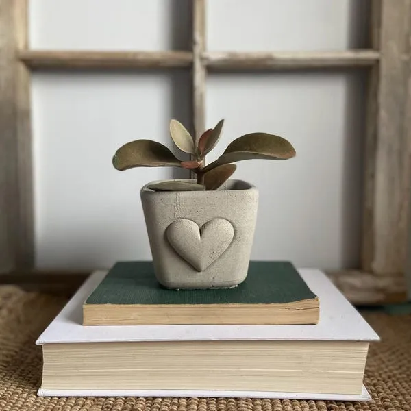 Love Heart Shape Planter, Minimalist Cute Flower Pot