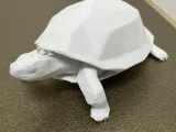 Low poly turtle-1