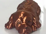 Cocker spaniel sleeping-0